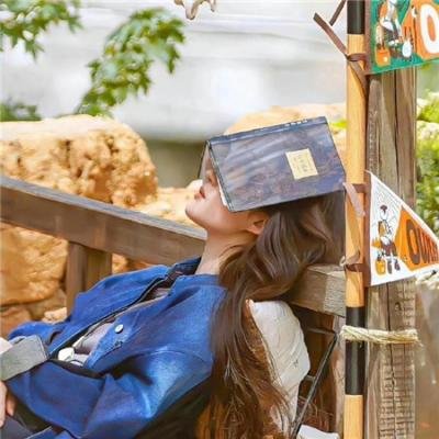 镖行天下前传之决战天涯